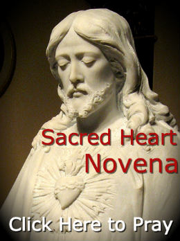 Join in praying the Novena to the Sacred Heart of Jesus Join in praying the Novena to the Sacred Heart of Jesus
