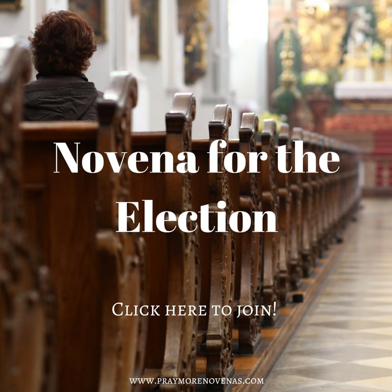 Join in praying the Novena for the Election