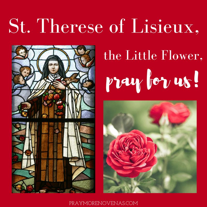 Here’s. the final prayer of the St. Therese of Lisieux Novena. 